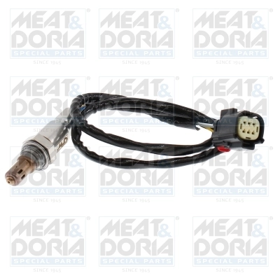 Oxygen Sensor